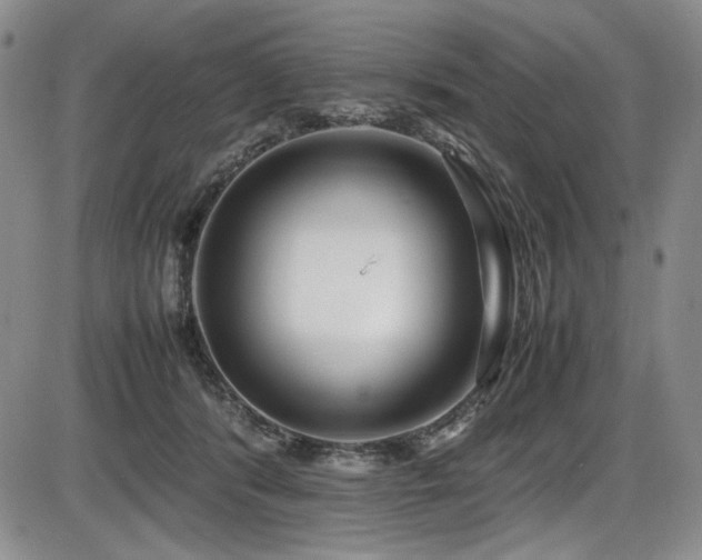 X0000086280416200703291506