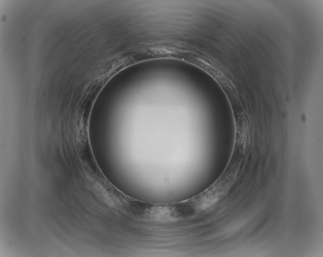 X0000086280418200703291506
