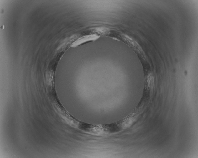 X0000086280423200703291506