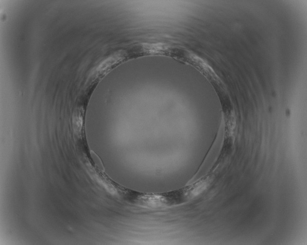 X0000086280427200703291506