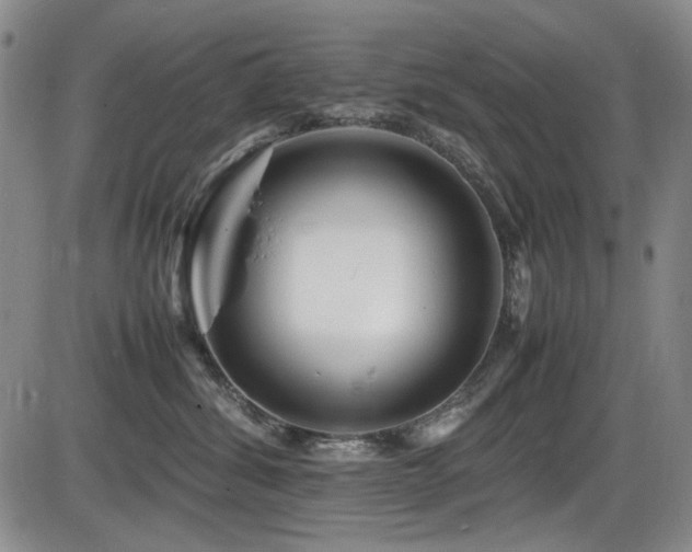X0000086280428200703291506