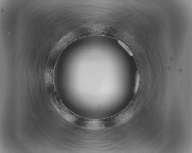 X0000086280432200703291506