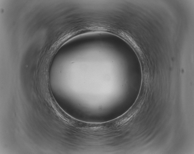X0000086280433200703291505