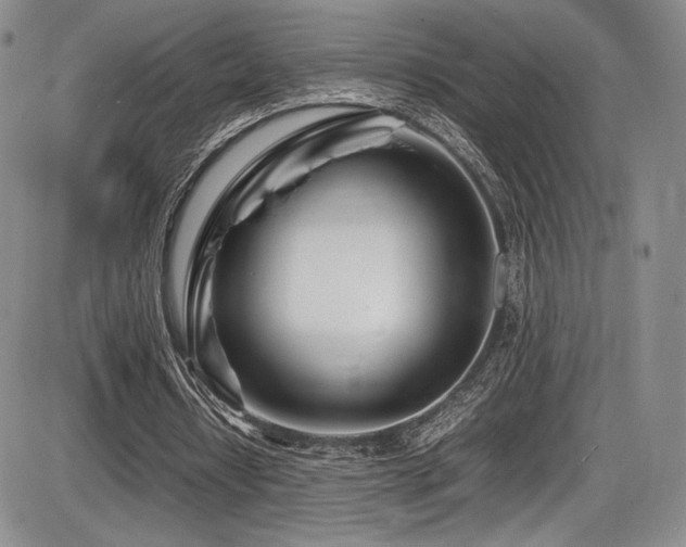 X0000086280434200703291505