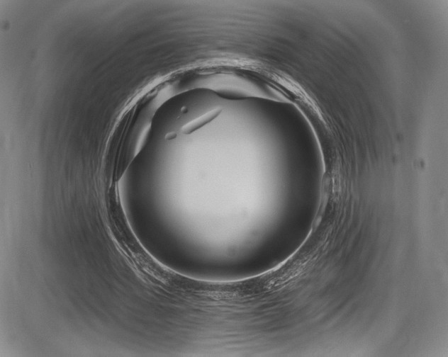 X0000086280436200703291505