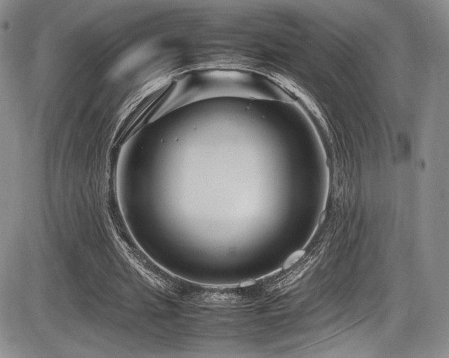 X0000086280437200703291505