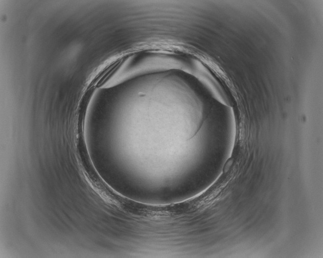 X0000086280438200703291505