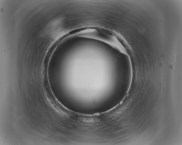 X0000086280439200703291505
