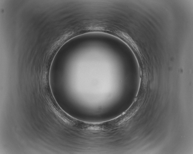 X0000086280441200703291505