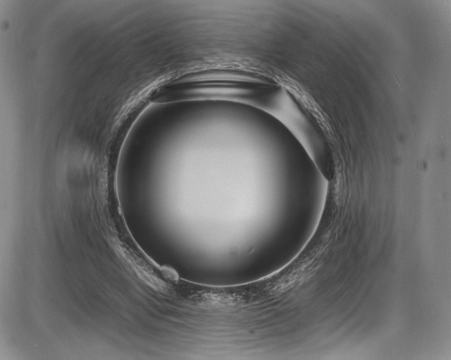 X0000086280442200703291505