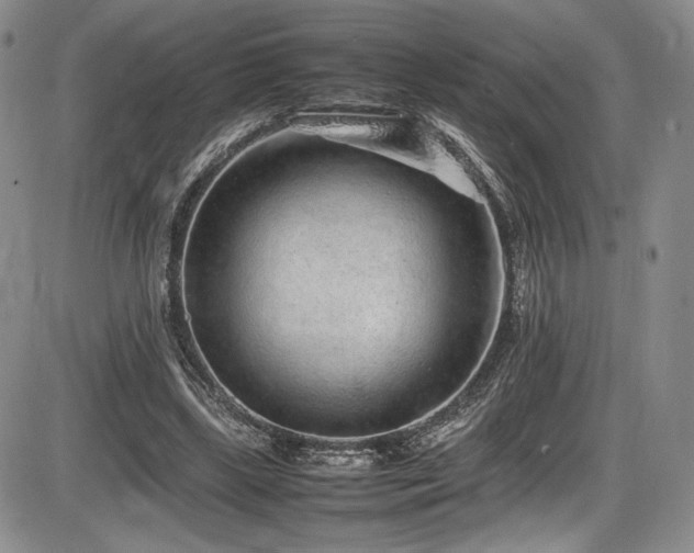 X0000086280443200703291505