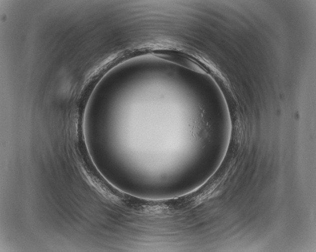 X0000086280446200703291505