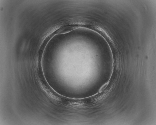 X0000086280447200703291505