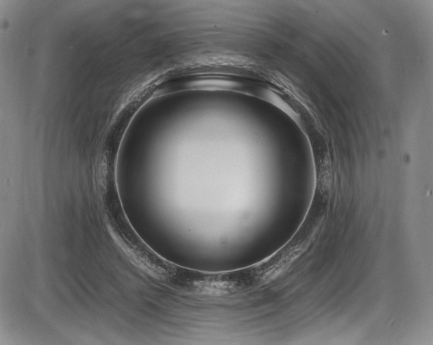 X0000086280448200703291505