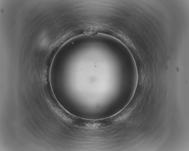 X0000086280450200703291505