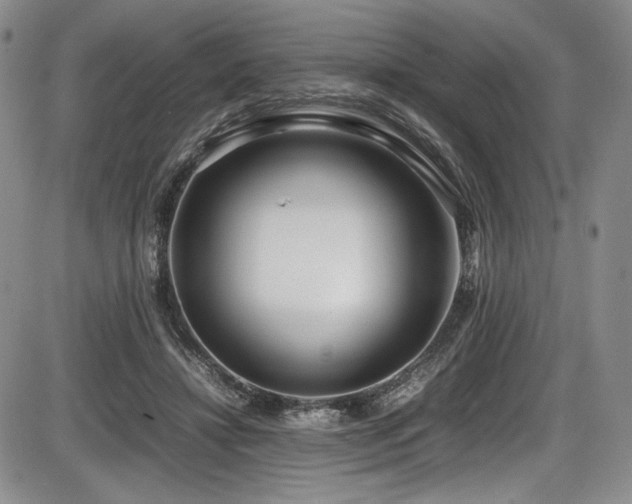 X0000086280452200703291505