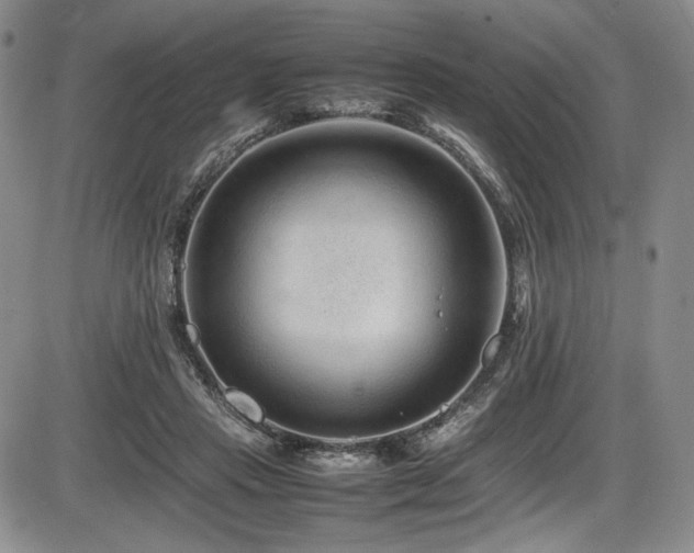 X0000086280453200703291505