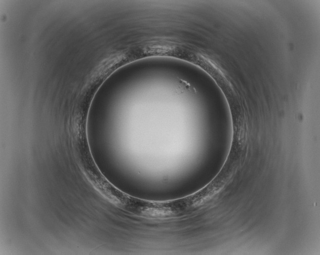 X0000086280455200703291505