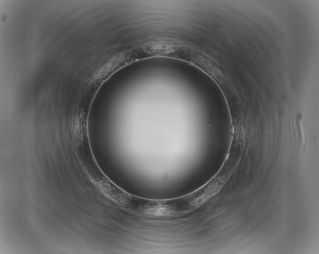 X0000086280460200703291505