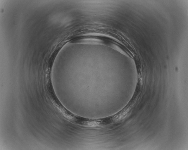 X0000086280462200703291505