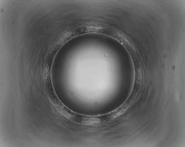 X0000086280463200703291505