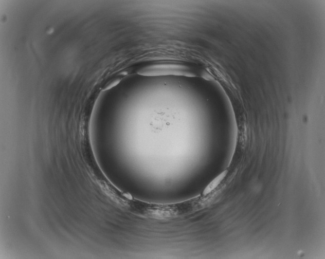 X0000086280466200703291506