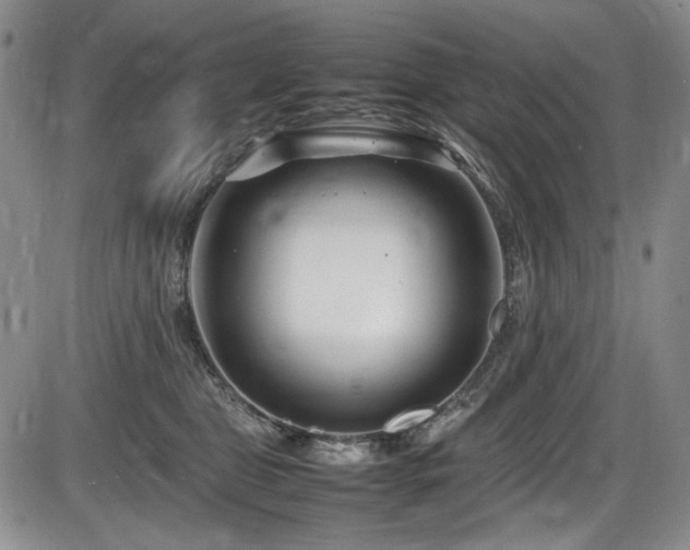 X0000086280469200703291506