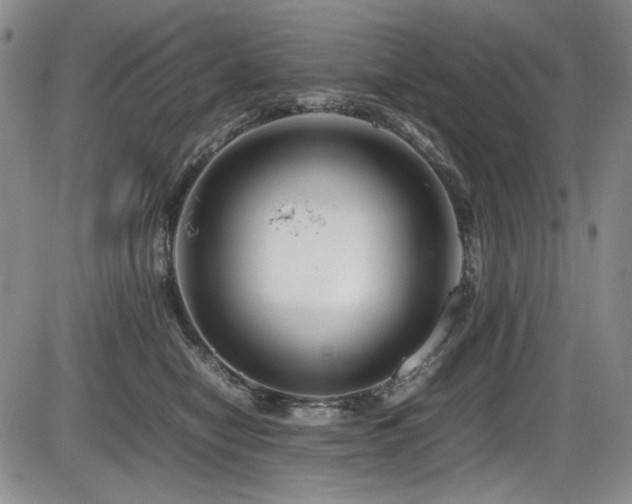X0000086280470200703291506