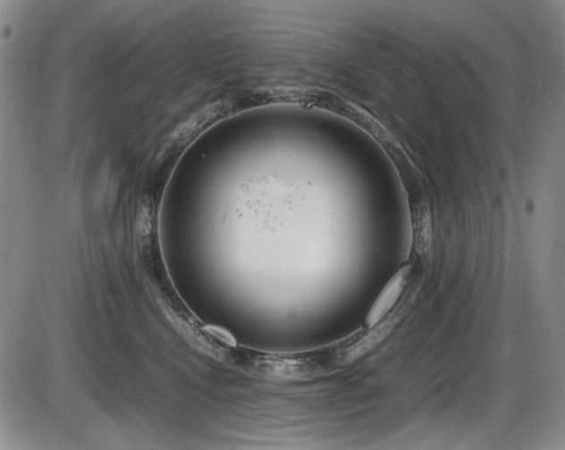 X0000086280472200703291506