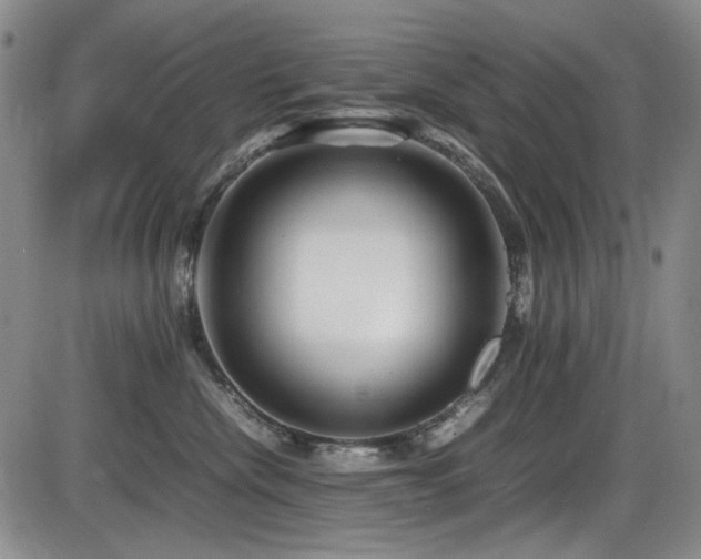 X0000086280476200703291506