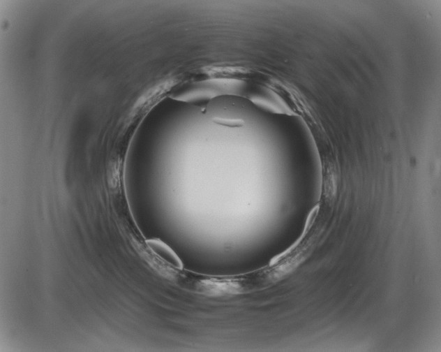 X0000086280477200703291506