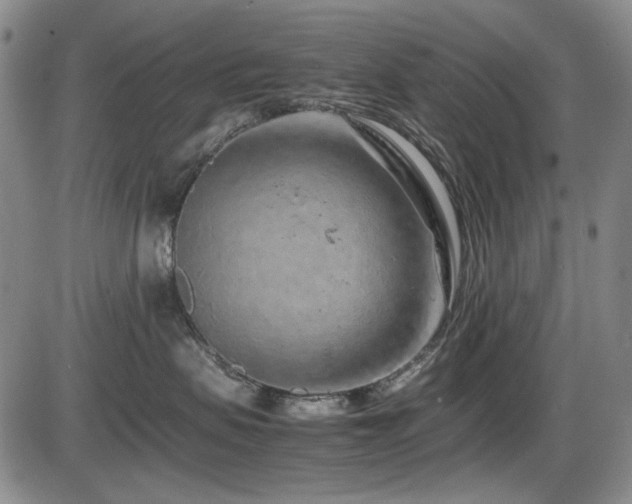 X0000086280479200703291506