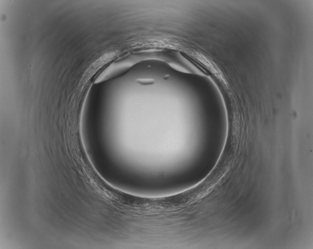 X0000086280481200703291505