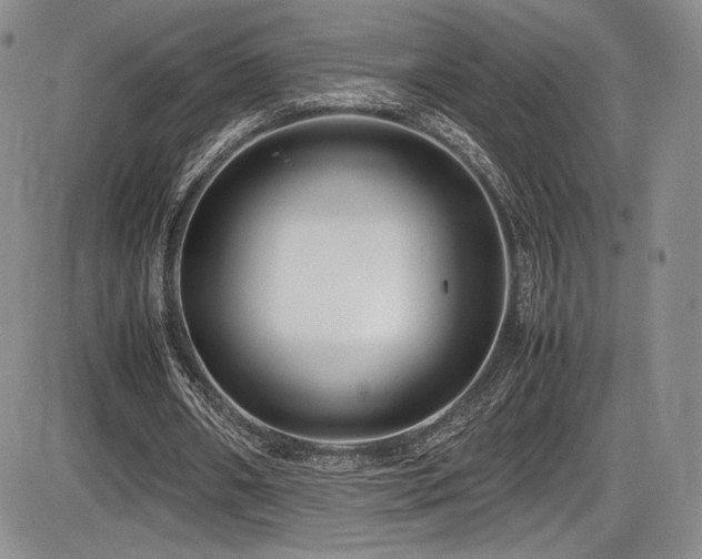 X0000086280482200703291505