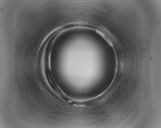 X0000086280484200703291505