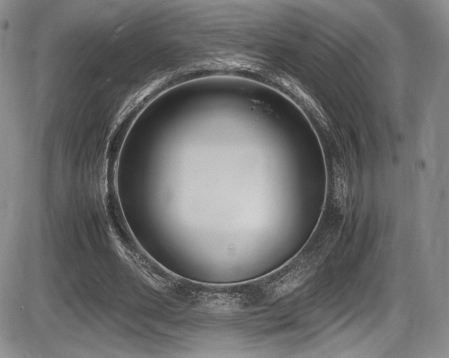 X0000086280486200703291505