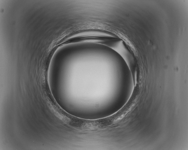 X0000086280489200703291505