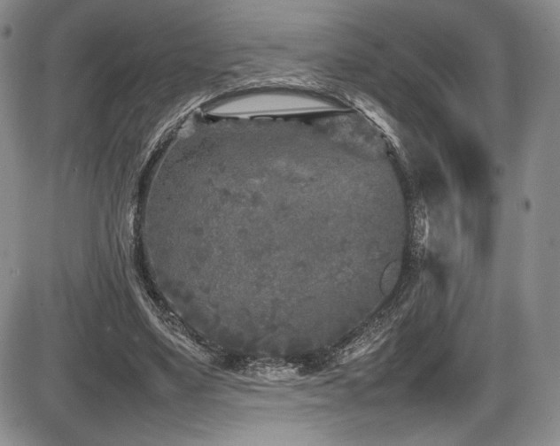 X0000086280491200703291505
