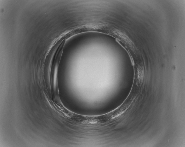 X0000086280492200703291505