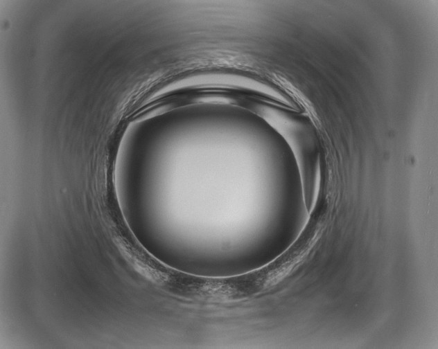X0000086280493200703291505