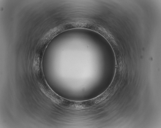 X0000086280498200703291505