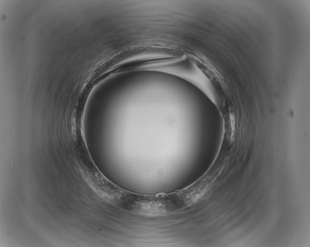 X0000086280500200703291505