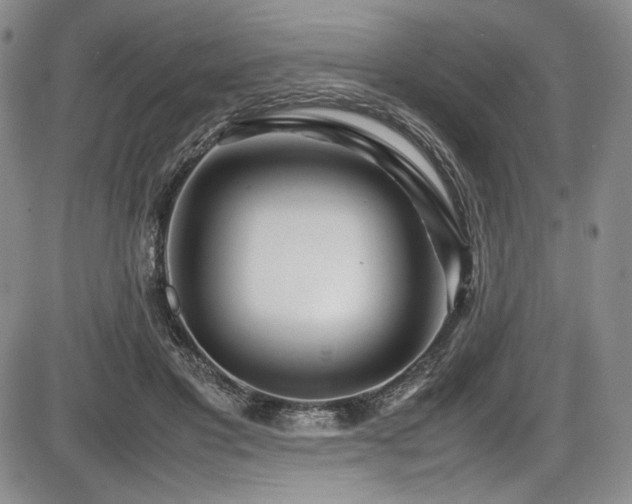 X0000086280501200703291505