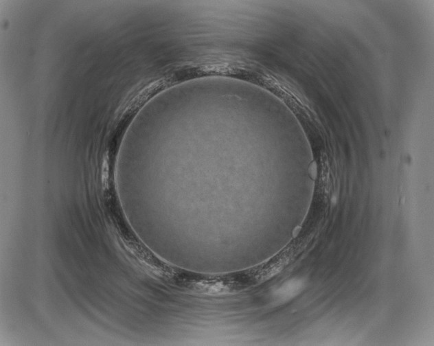 X0000086280502200703291505