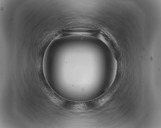 X0000086280505200703291505
