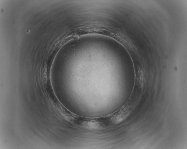 X0000086280506200703291505