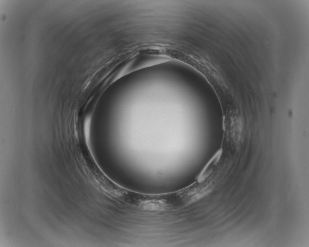 X0000086280508200703291505