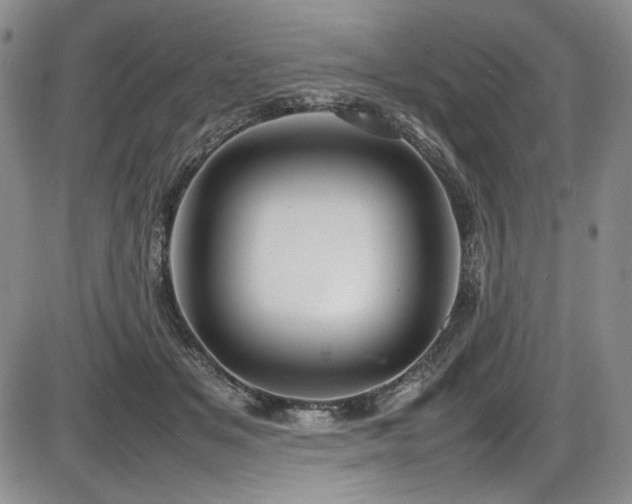 X0000086280509200703291504