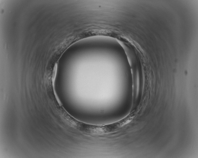 X0000086280513200703291504