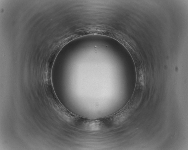 X0000086280514200703291504
